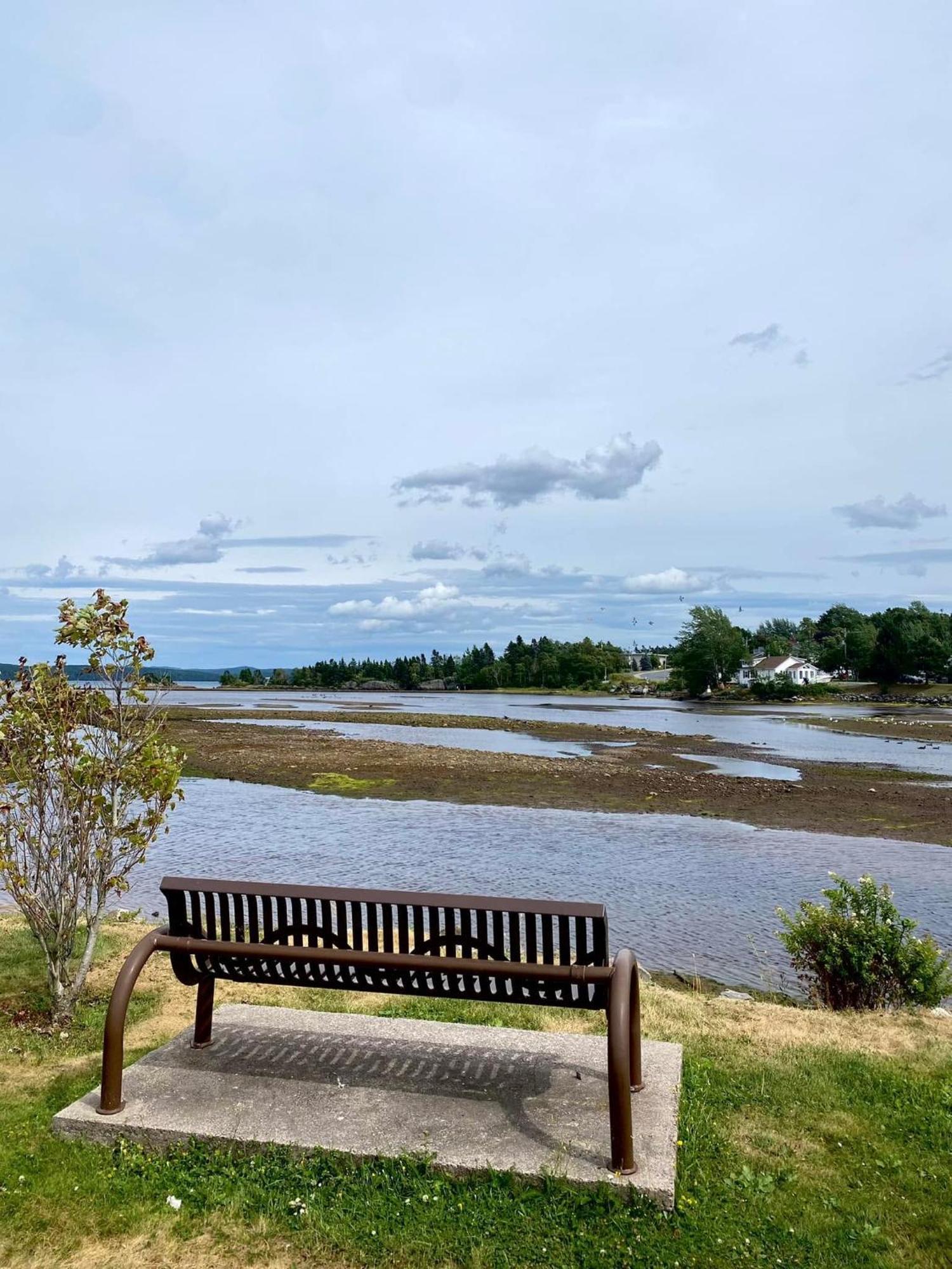 Riverview Suites Clarenville Eksteriør billede